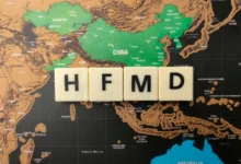 Hand Foot and Mouth Disease
